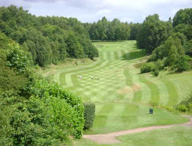 Overlooking the tree-lined fairway at Whitefield