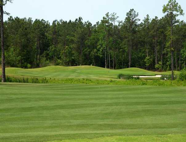 A view of the 6th green from the Diamondback Golf Course