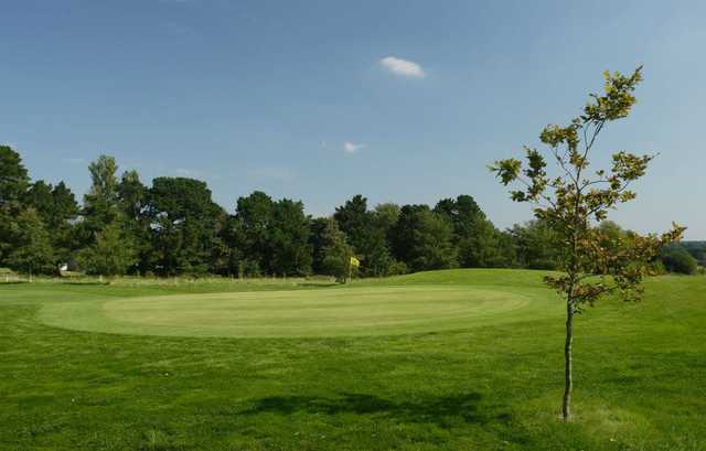 A view of hole #10 at Wickham Park Golf Club