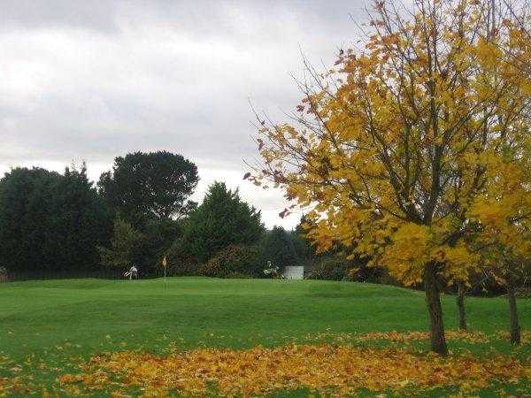 A fall view of green #6 at Cowes Golf Club