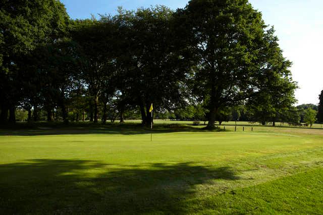 A sunny view of a green at Cherry Lodge Golf Club