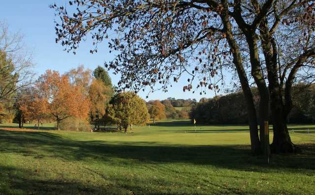 A fall view of a green at Lingdale Golf Club