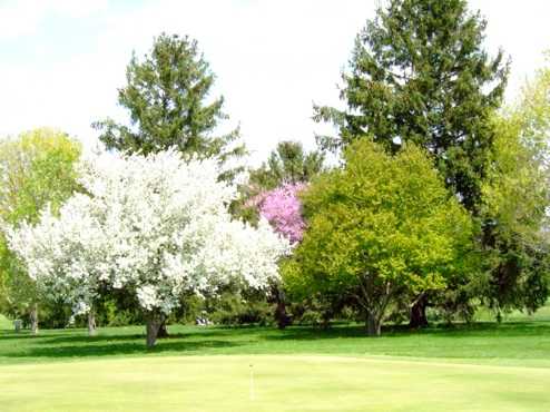 A view of a green at Snag Creek Golf Course
