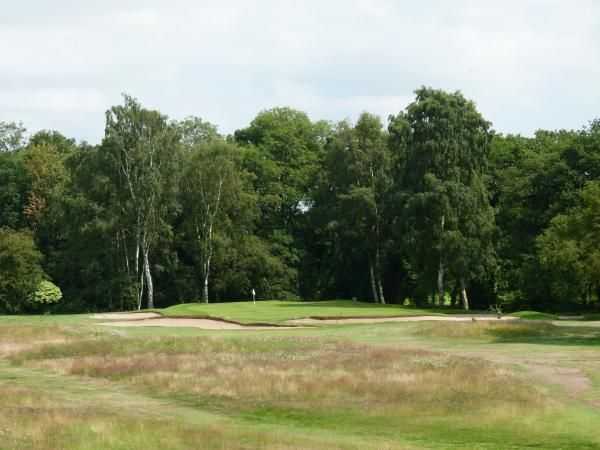 View of Elsham's 12th green over the rough