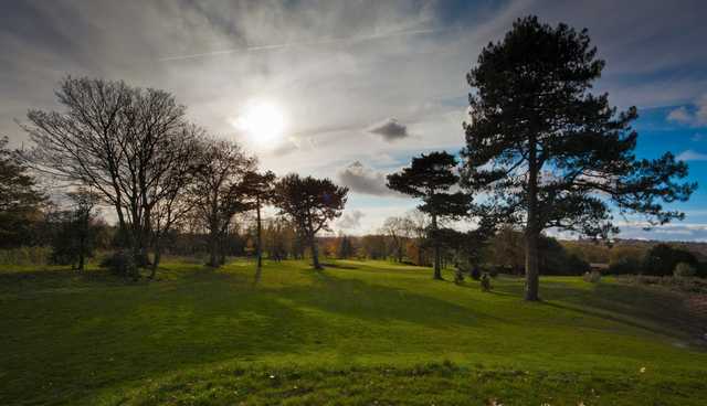Scenic view of the 10th hole and surrounding trees at Lee Park Golf Club.