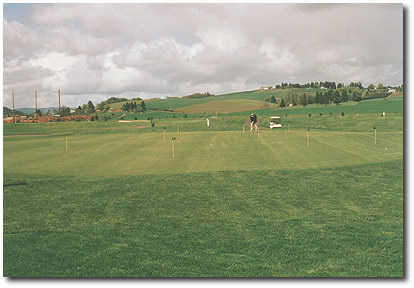 Quail Valley Putting Green: Beautifully manicured and chipping is allowed.