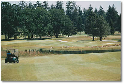 RedTail #11 (Bryan Thurston)