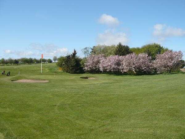 A view from fairway #12 at Alnmouth Golf Club