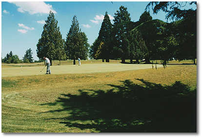 RedTail Golf Center Tee Times - Beaverton OR