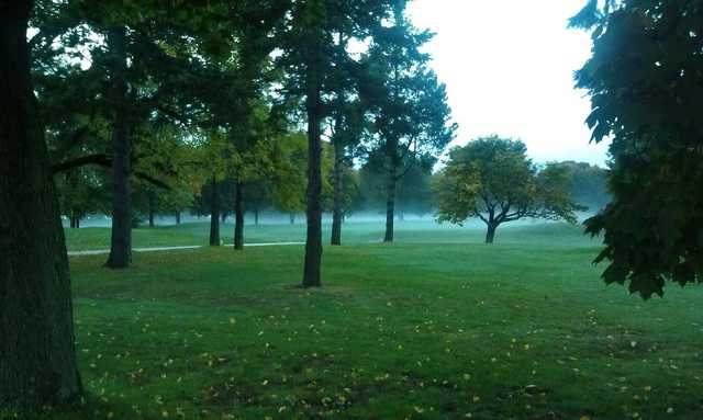 Foggy day at Triggs Memorial Golf Course 