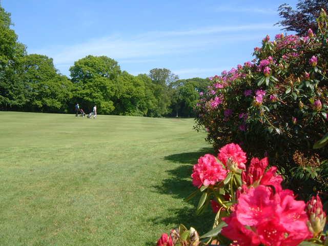 A view from Bedlingtonshire Golf Club