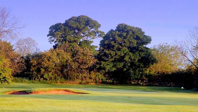 A sunny view of a green at Ponteland Golf Club