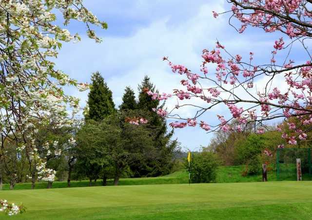 A spring view of a green at Prudhoe Golf Club
