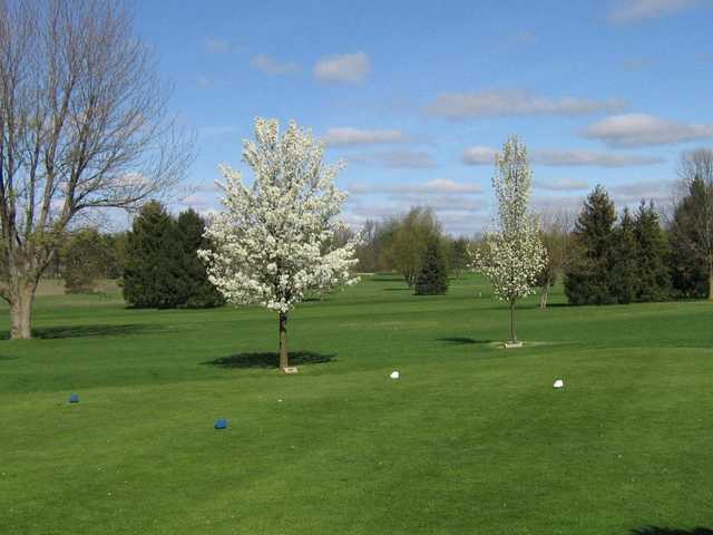 White and blue tees at Ridgeview Golf Course
