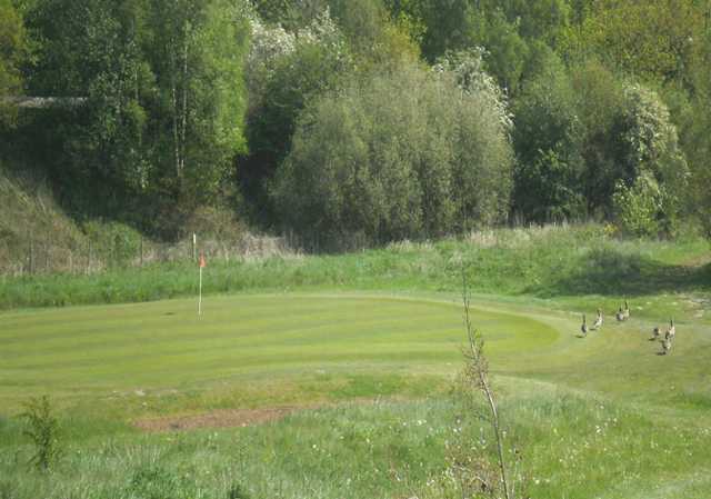 A view of green #13 at Leen Valley Golf Club