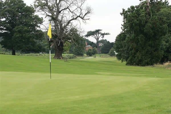 A view of hole #8 at Westwood Course from Norwood Park Golf Centre