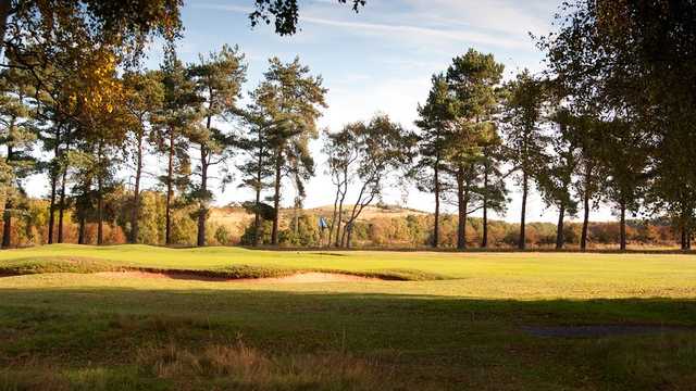 A view of hole #16 at Sherwood Forest Golf Club.