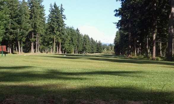 A view of a fairway at Lipoma Firs Golf Course