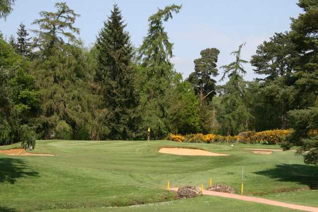 A view of the 6th green at Green Course from Frilford Heath Golf Club