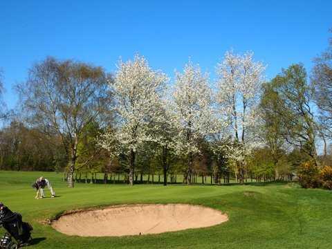 A view of green #11 guarded by blossom trees at Henley Golf Club