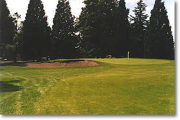 Rose City #1: One fairway bunker on the right about 200 yards out and trees down the left await your first tee shot. The green has one large bunker on the left.