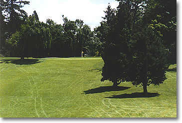 Rose City #4: Your tee shot is downhill with an open fairway to the left and a small group of trees to the right. Your approach shot is to an elevated green. There are no bunkers on this hole. 