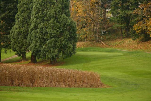 Rose City Golf Course #14: This starts out downhill with a dogleg left about 240 yards out. Dense trees line the left and scattered trees line the right. The green is small and elevated