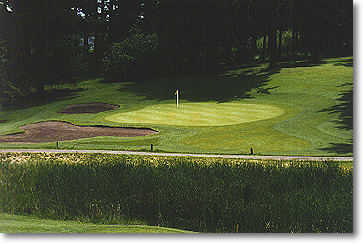 Rose City #15: Hole #15 is a beautiful looking hole. Another downhill tee shot with water and tall grass in front and two bunkers on the left. 