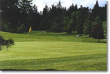 Rose City #17: From the back of the green. A fairway that severely slants left and leads to an another elevated green.