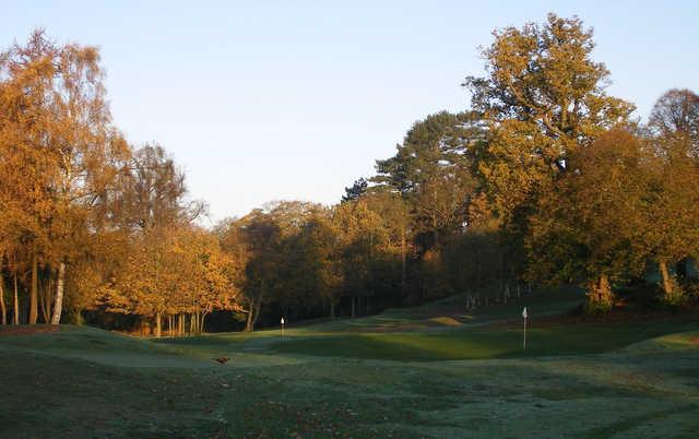 An autumn view from Hawkstone Park Golf Club