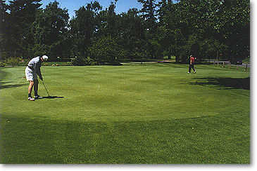 Beautifully manicured and chipping is allowed on the north end of the green only. 