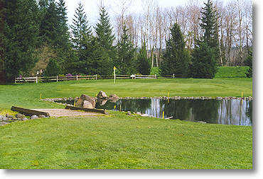 Water is the main hazard on hole #3. Be careful not to use too much club or you'll end up on the other side of the fence that lines the back of the green.