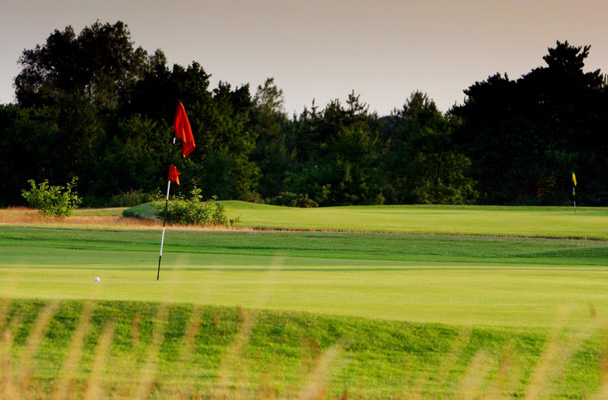 A view of a green at Bungay & Waveney Golf Club