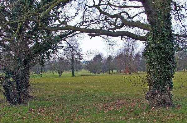 A view from Bury St Edmunds Golf Club