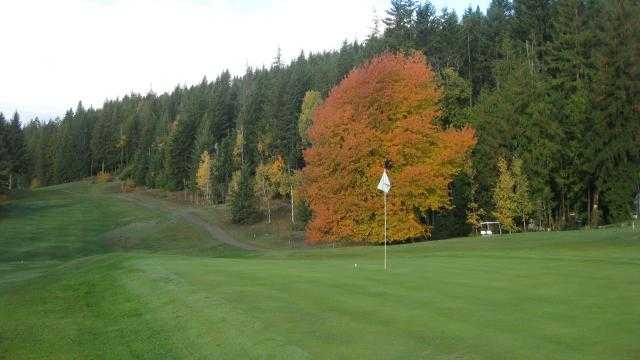 #9 Green looking back up the fairway to the tee box at Anglemont Estates Golf Club