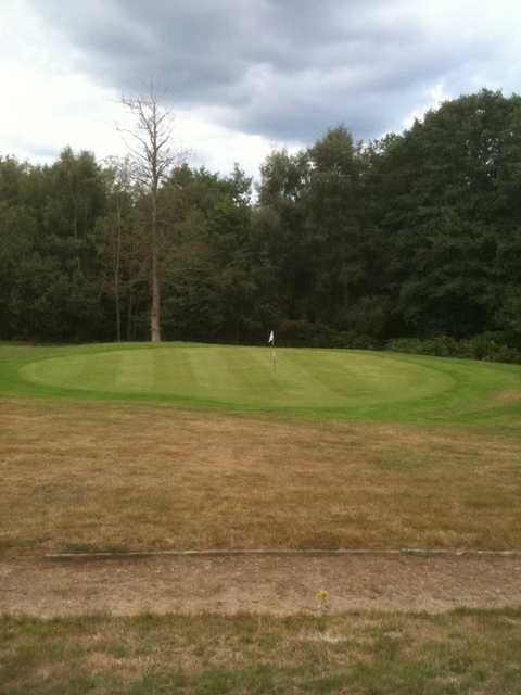 A view of the 14th green at Chiddingfold Golf Club