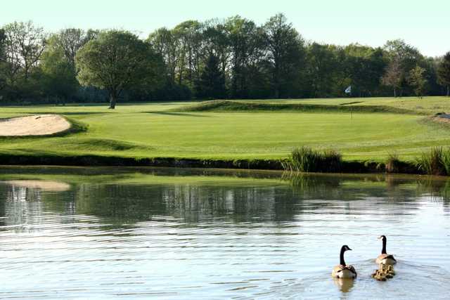 A view over the pond of a green at Gatton Manor Hotel Golf & Country Club