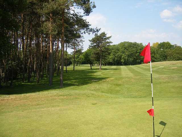 A view from the 14th green at Leatherhead Golf Club