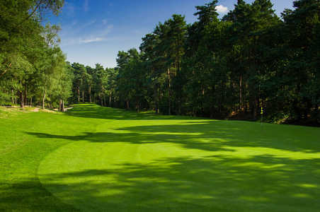 A view of a green at Pine Ridge Golf Centre