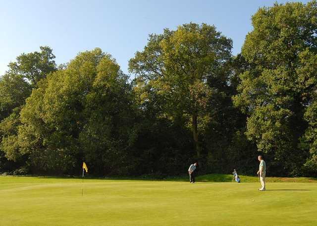 A sunny view of a green Horsham Golf Club.