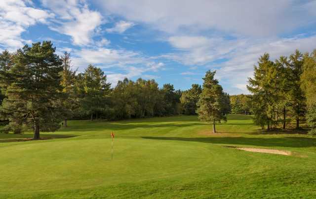 Perfectly manicured 3rd green as seen at Tilgate Forest Golf Centre.