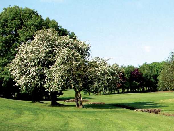 A spring view from Bradley Park Golf Club
