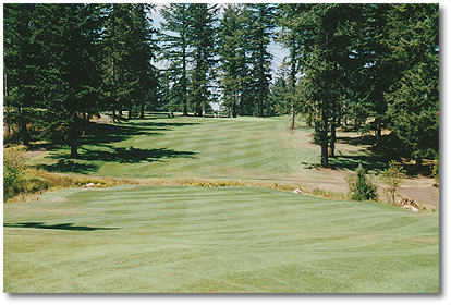 #13: Most difficult hole on backside. There's a blind tee shot over a hill, so you can't see the ball land. Fairway is guarded on left by creek about 300 yards off the tee. 2nd shot is uphill - about 185 yards to a green that is surrounded by large Dougla