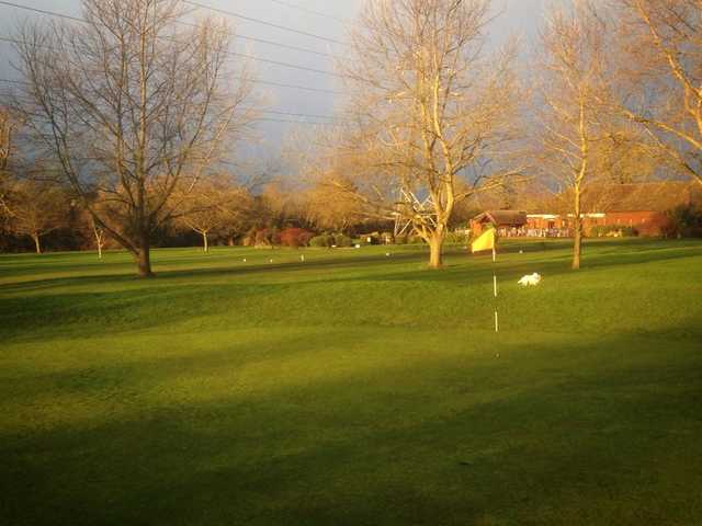 A view of a green at Whitley Golf Club