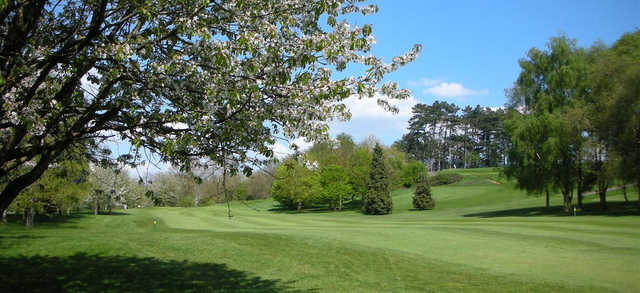 A view of a fairway guarded by spring blossom trees at Droitwich Golf & Country Club.