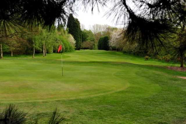 A view of the 10th green through the trees at Kidderminster Golf Club 