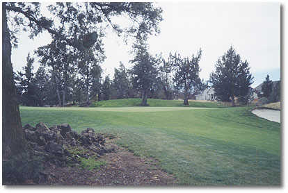 Greens at Redmond #2 (John Vawter)