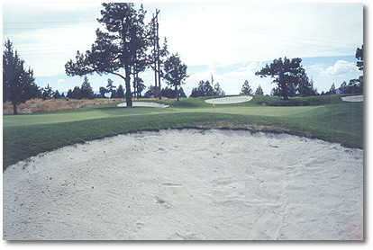 Greens at Redmond #7 (John Vawter)