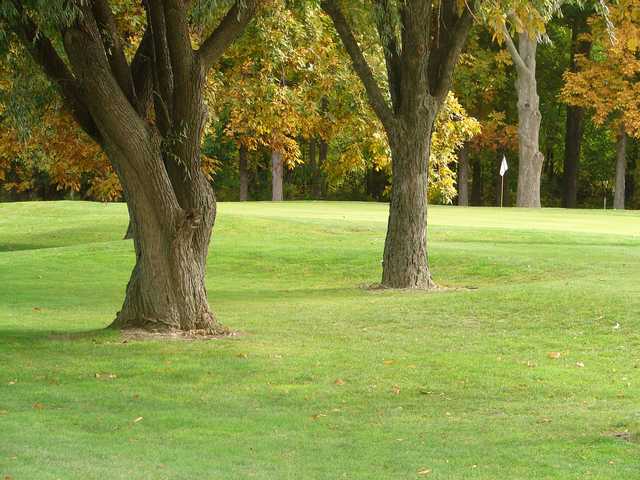 View of a green at Springvale Golf Club