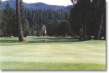 Tokatee Golf Club - Reviews & Course Info | GolfNow